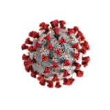 Covid 19 Molecule 
