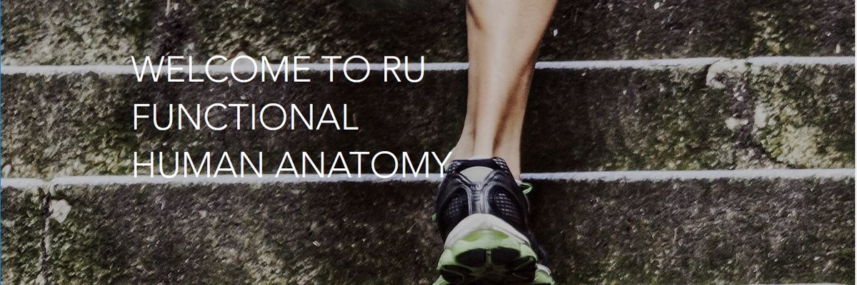 Anatomy