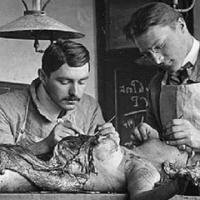 Human Anatomical Studies Initiative