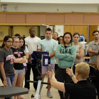 Undergraduate Programs